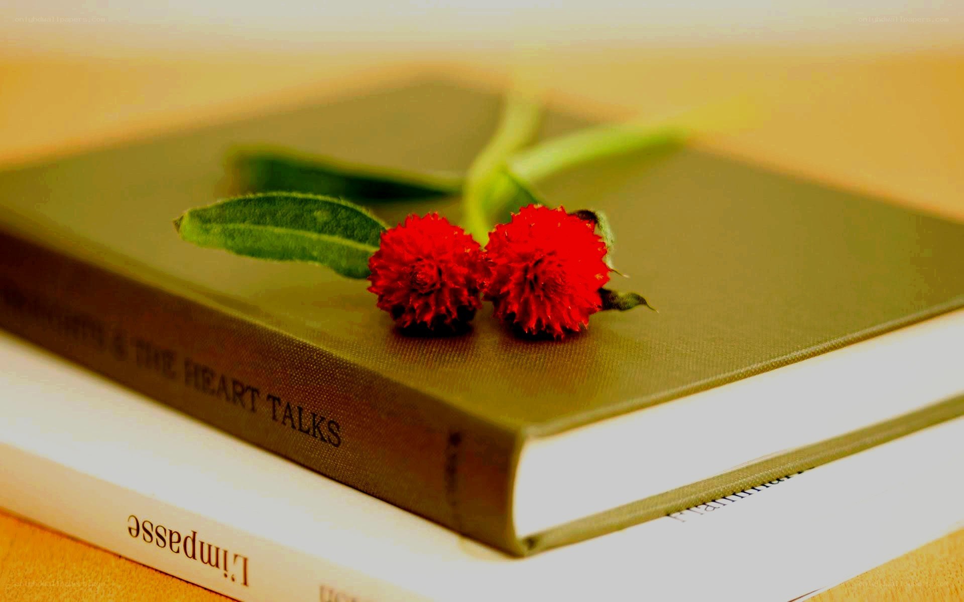 Books with red flowers