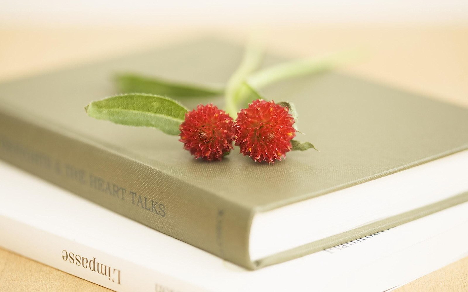 Books with red flowers