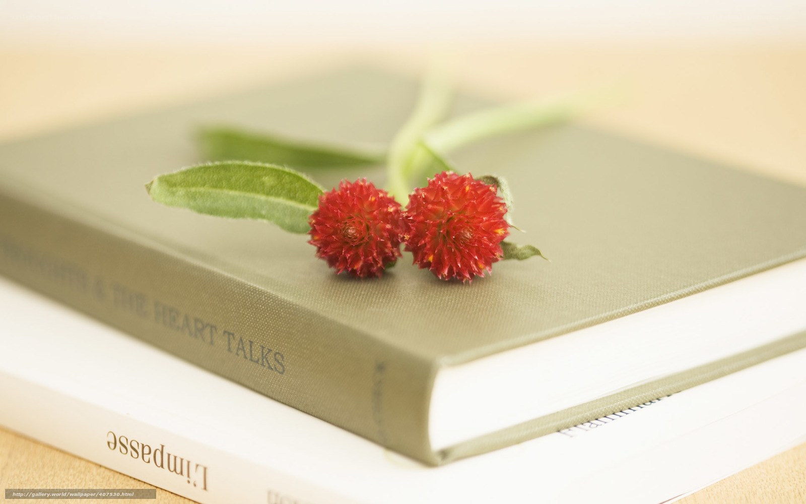 Books with red flowers