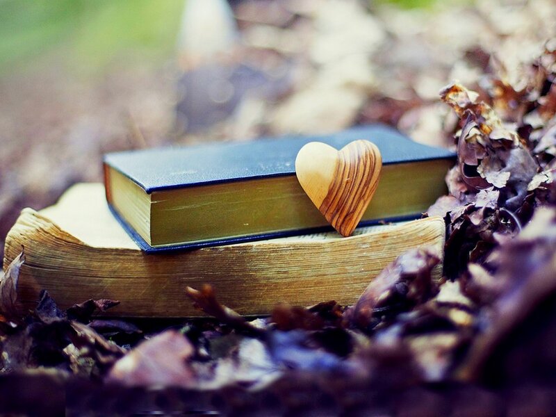 Books with Wooden Heart — Brown, Serene