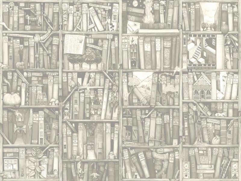 bookshelf with hidden illustrations