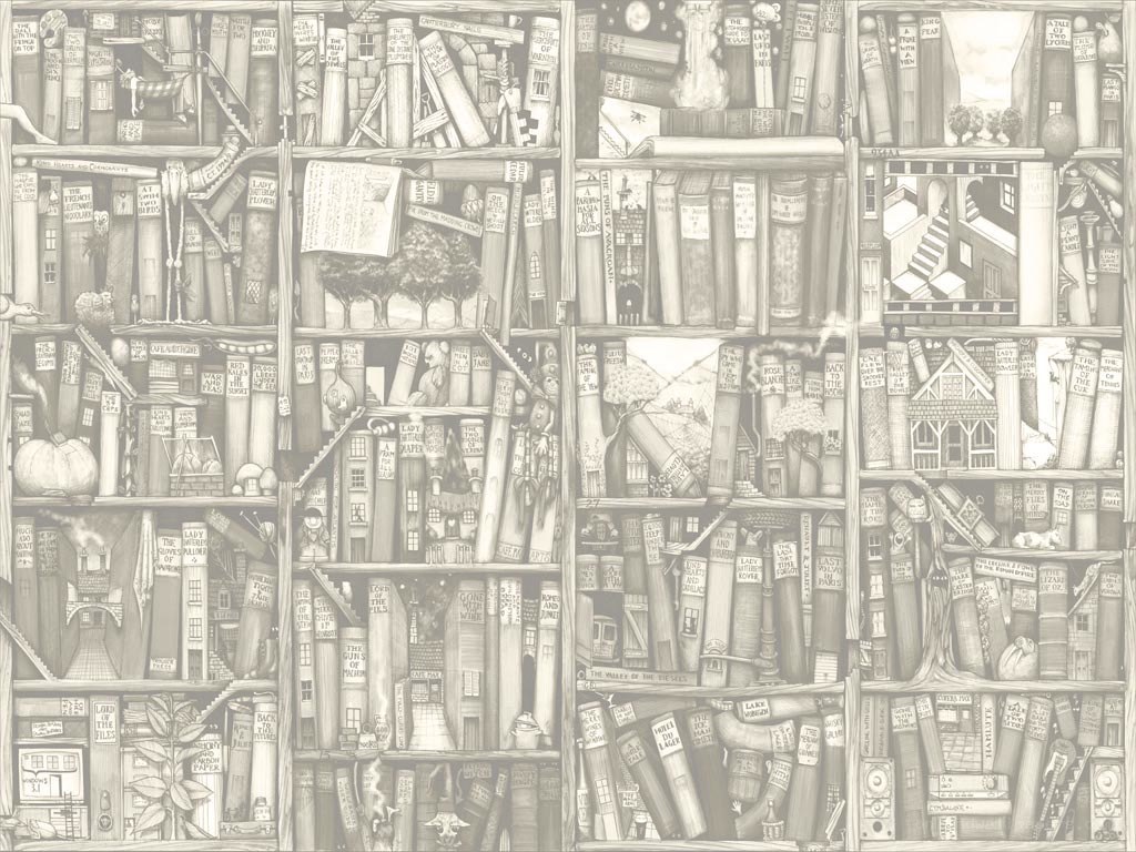 bookshelf with hidden illustrations