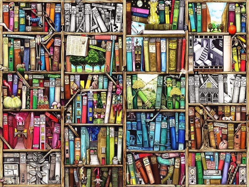 bookshelf with magical books