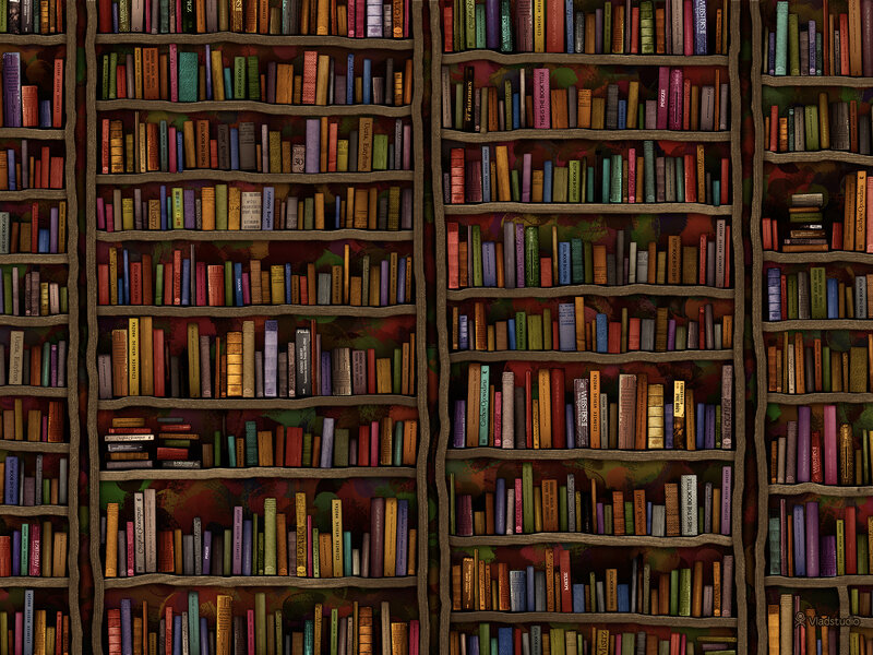 Bookshelves Filled with Books