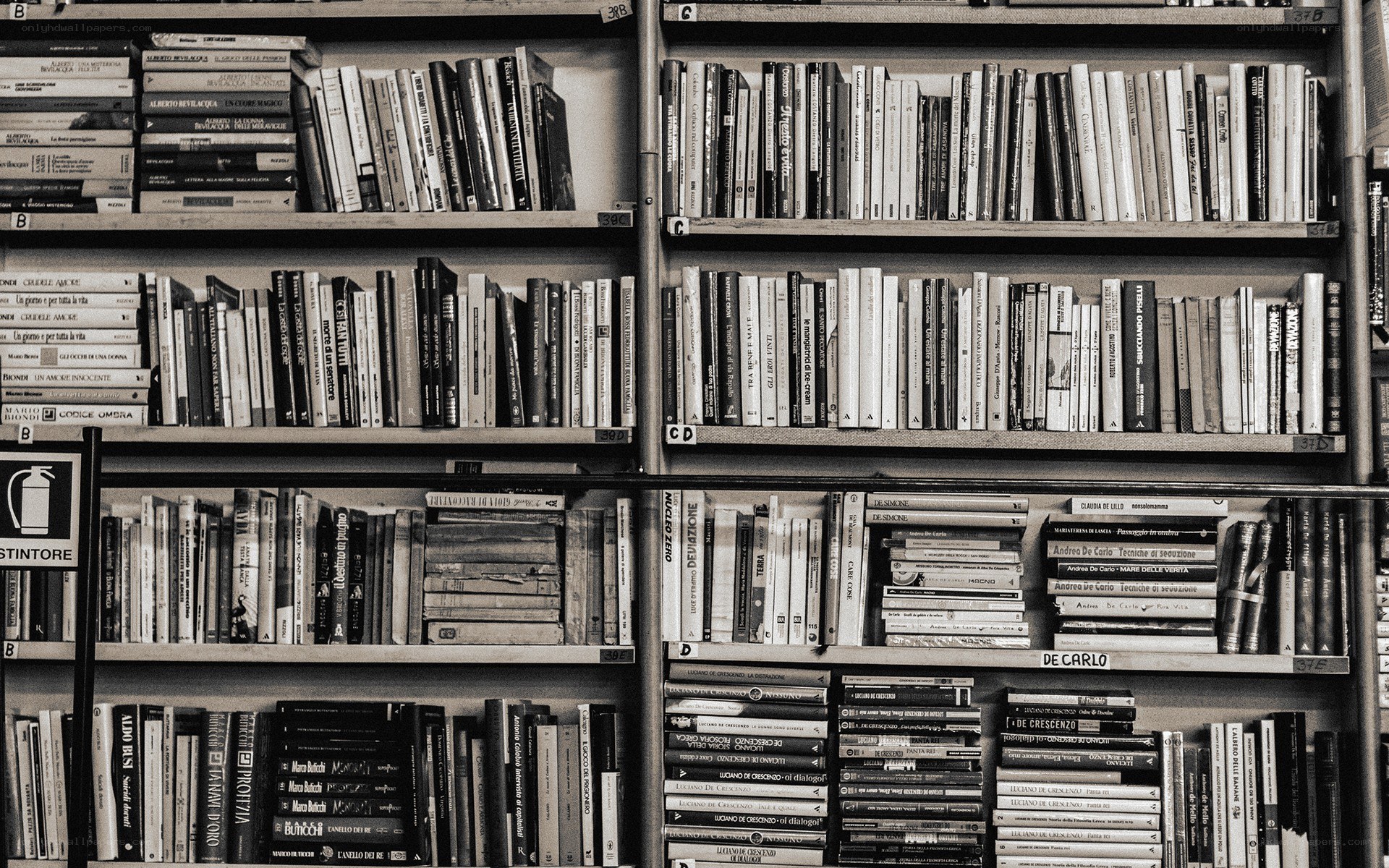 bookshelves in a library