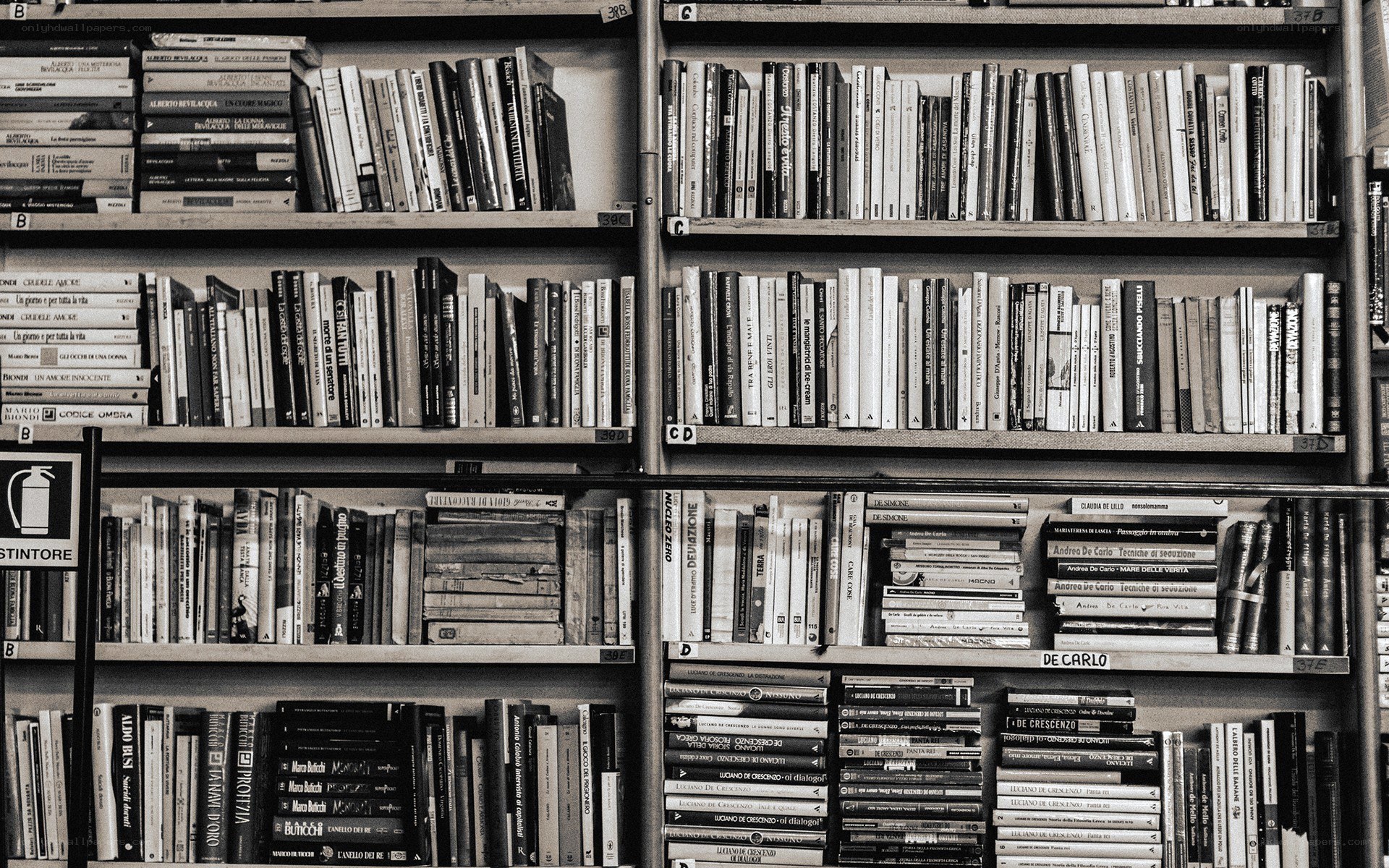 bookshelves in a library