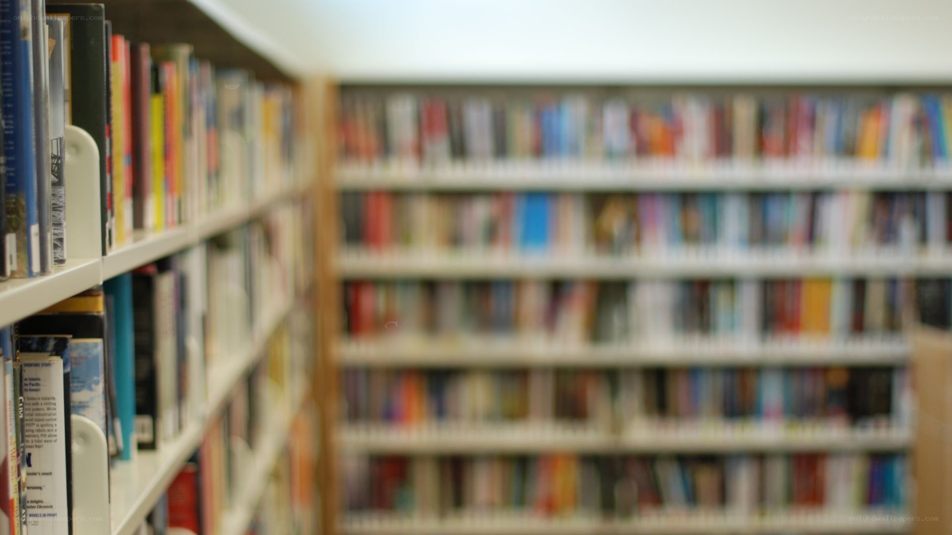 bookshelves in a library