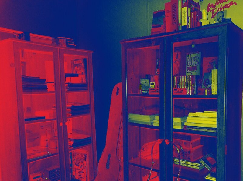 Bookshelves in a Room