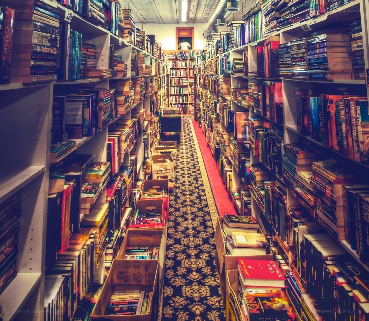 bookstore aisle with books
