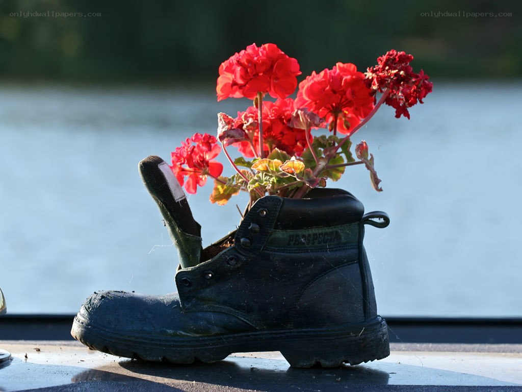 Boot with red flowers
