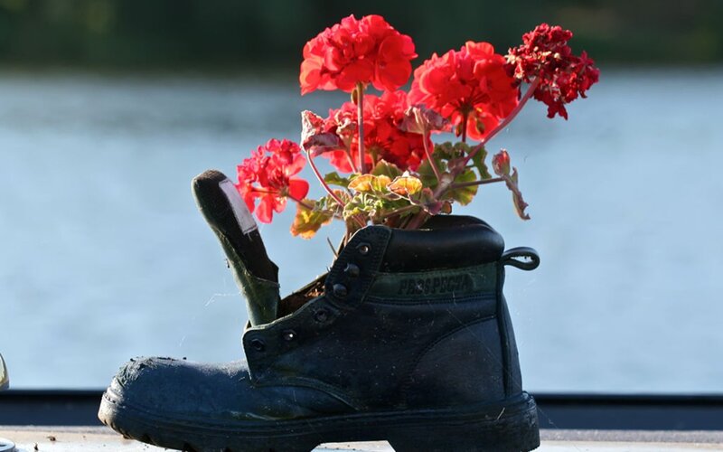 boot with red flowers