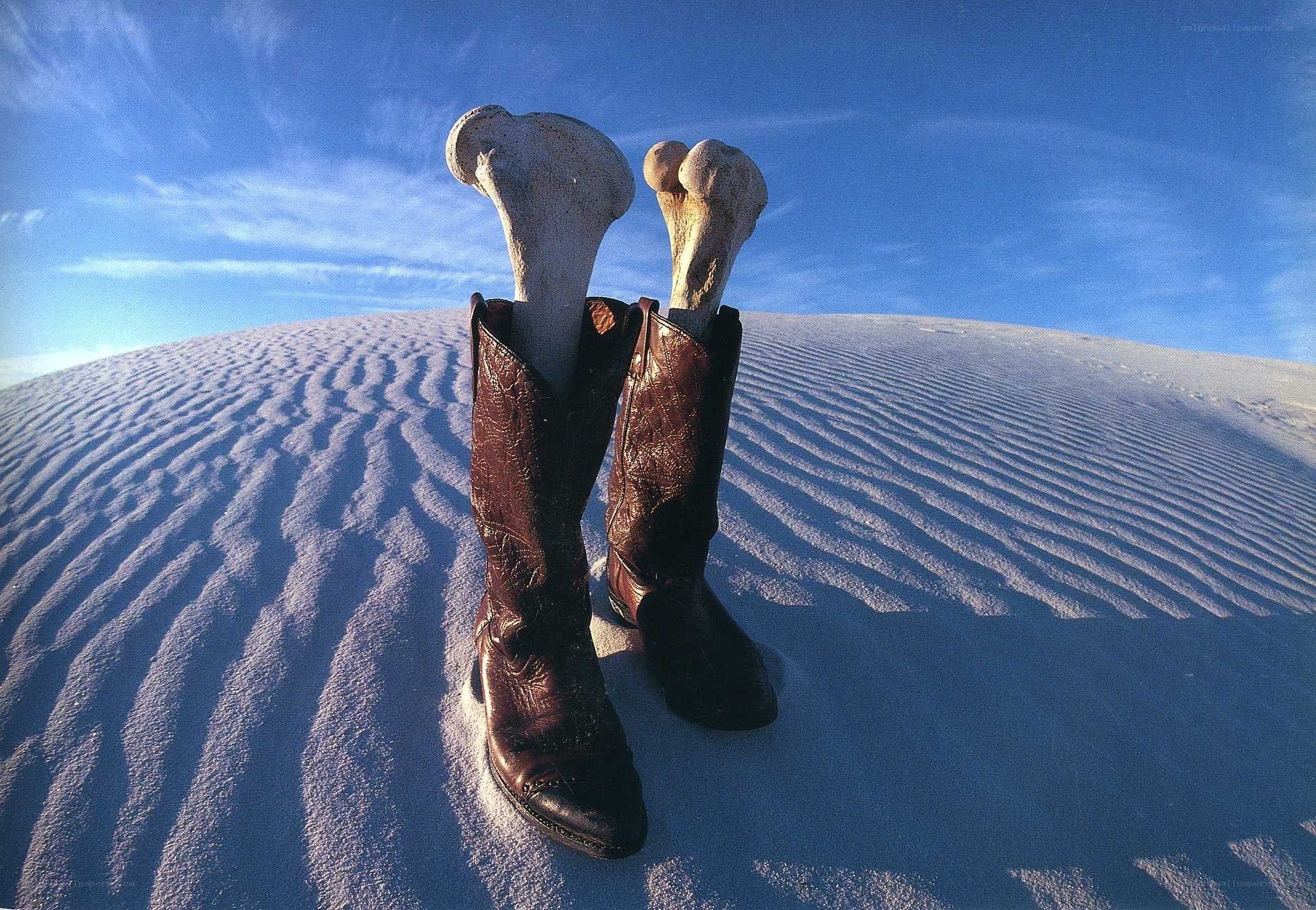 Boots with bones in desert