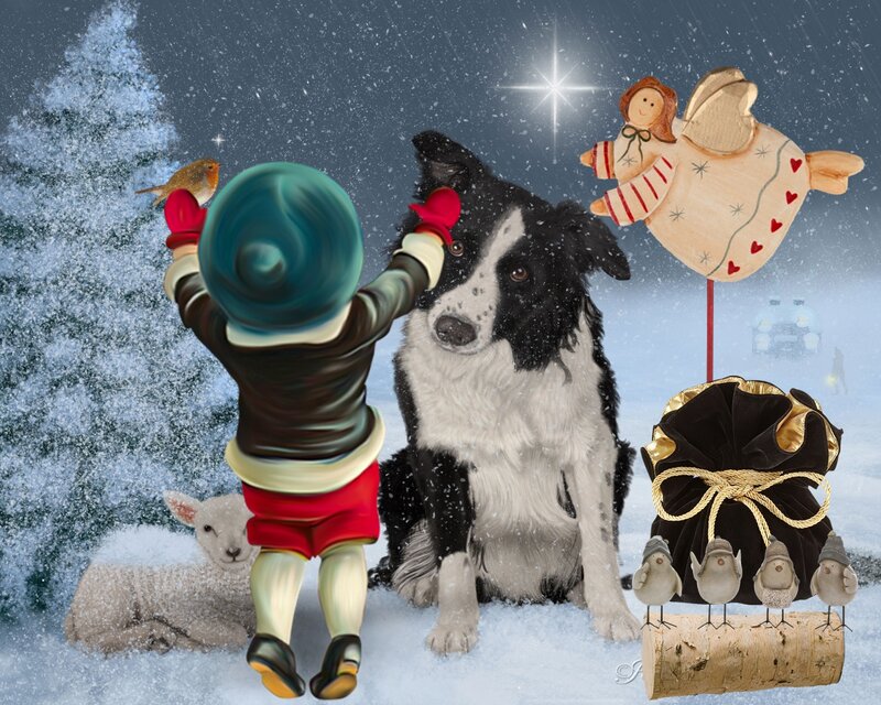 Border Collie Dog — White, Festive, Winter