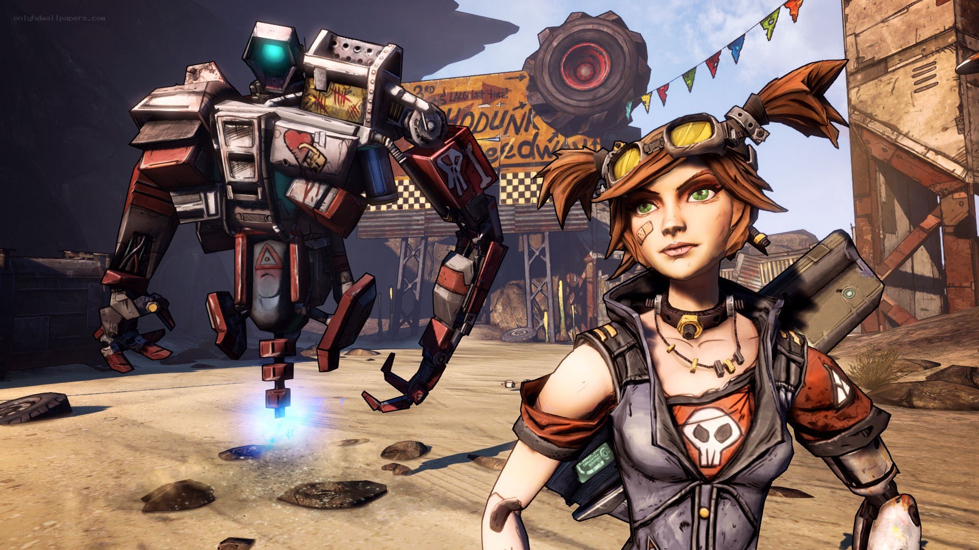 Borderlands character with robot companion