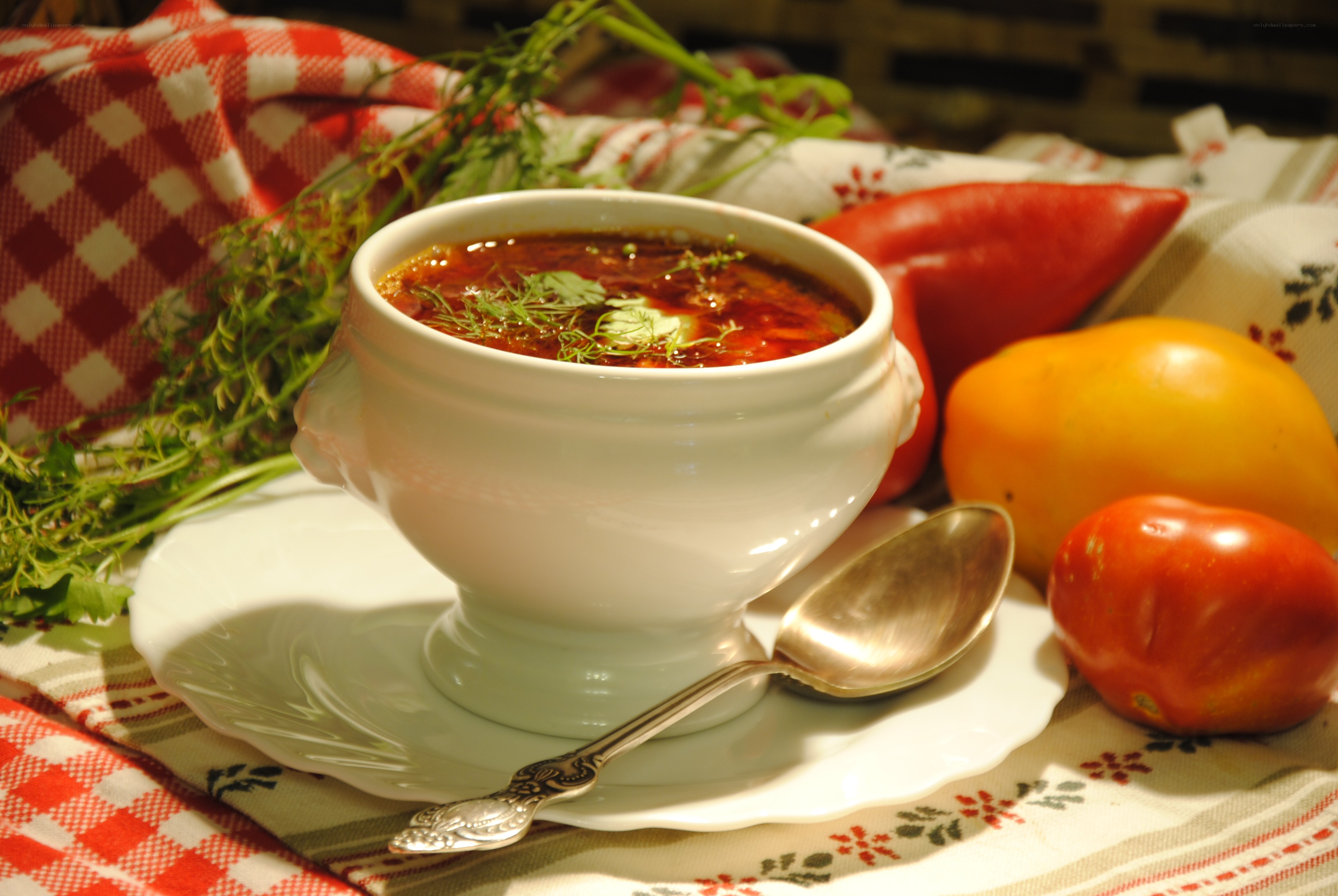 Borscht soup with fresh vegetables