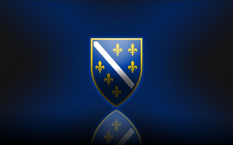 Bosnia and Herzegovina coat of arms