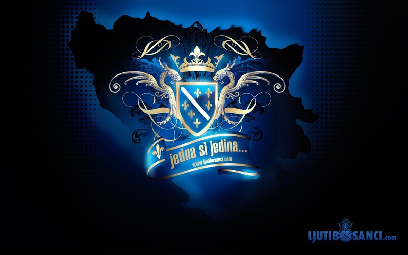 Bosnia and Herzegovina emblem