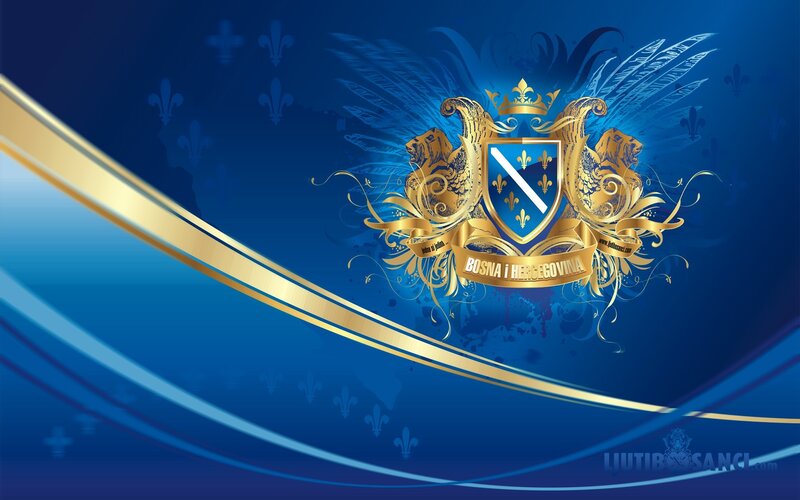 Bosnia and Herzegovina emblem
