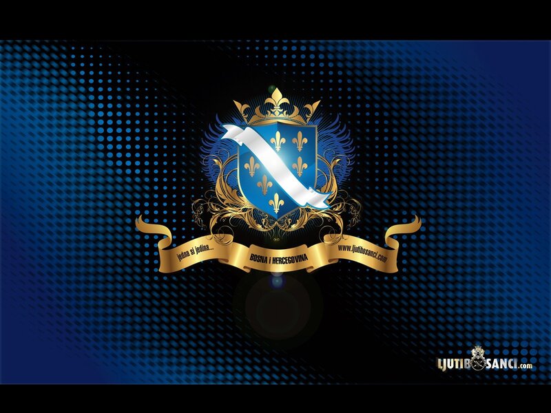 Bosnia and Herzegovina emblem