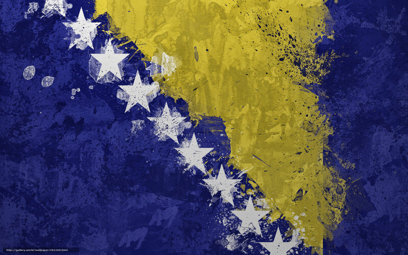 Bosnia and Herzegovina flag art