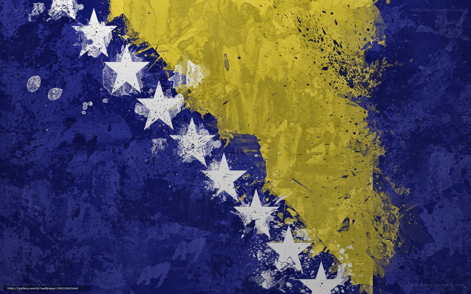 Bosnia and Herzegovina flag art