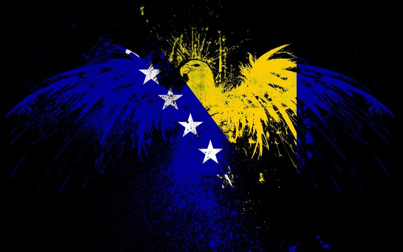 Bosnia and Herzegovina flag art