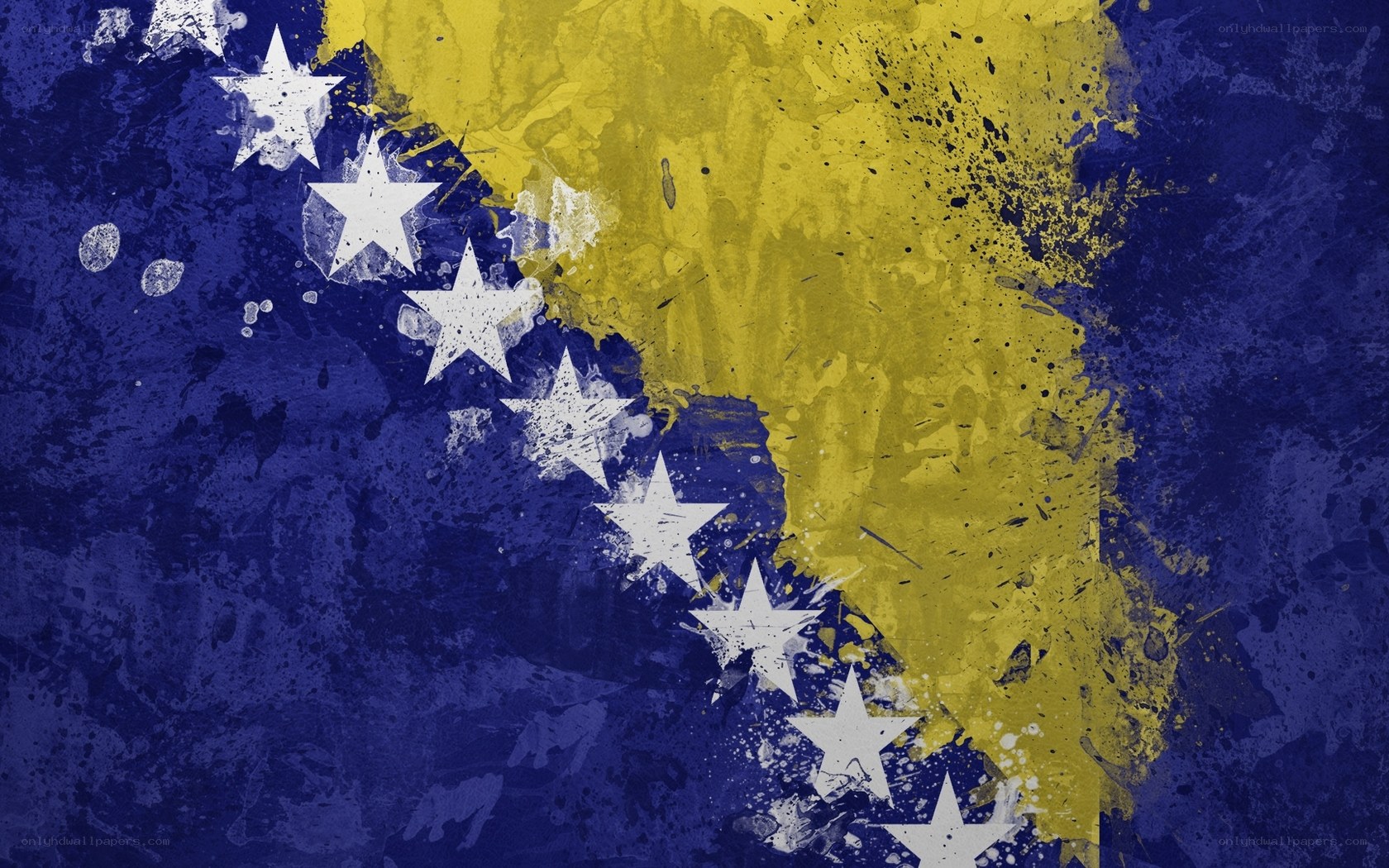 Bosnia and Herzegovina flag art