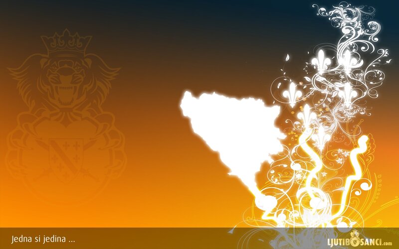 Bosnia and Herzegovina map art