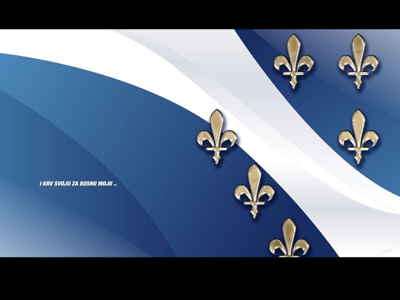 Bosnia flag with fleur-de-lis