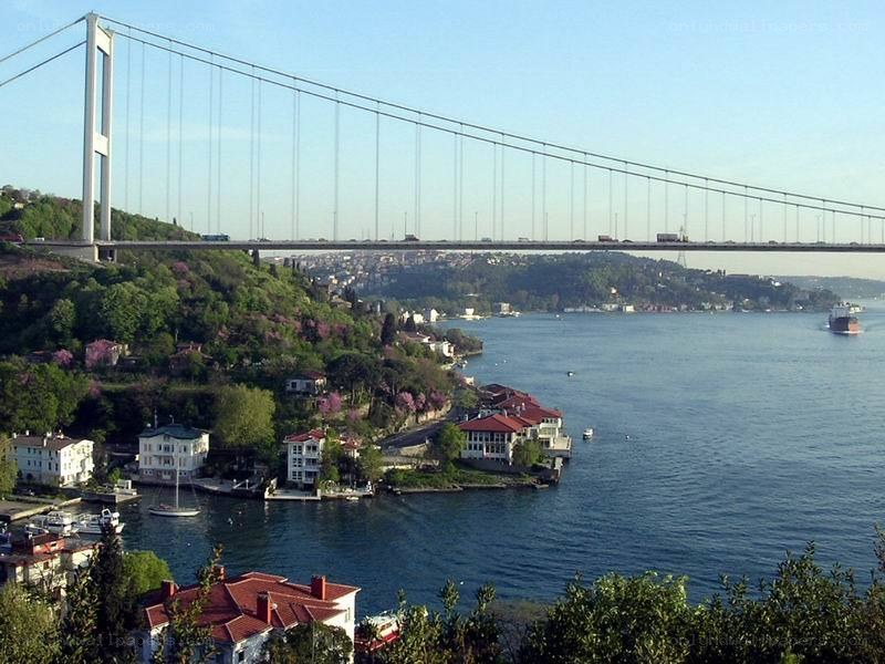 Bosphorus Bridge and coastal homes