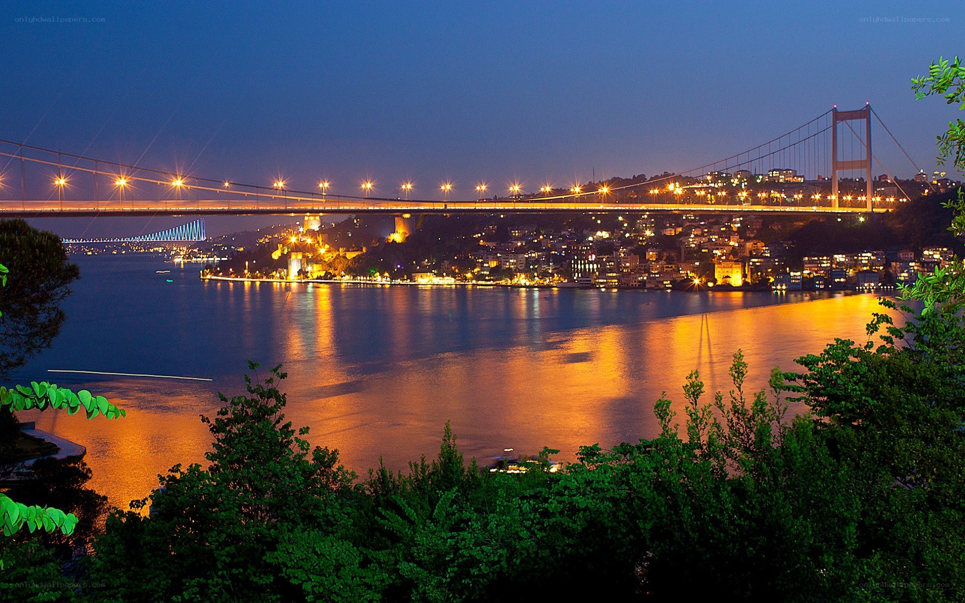Bosphorus Bridge at night