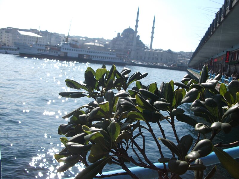Bosporus view with mosque