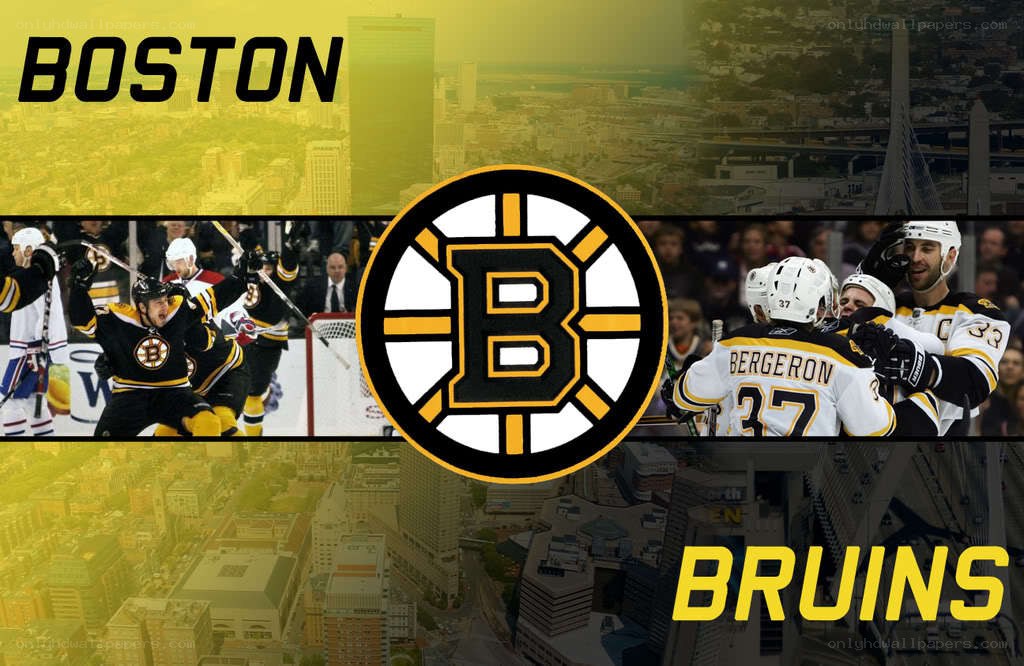 Boston Bruins hockey team