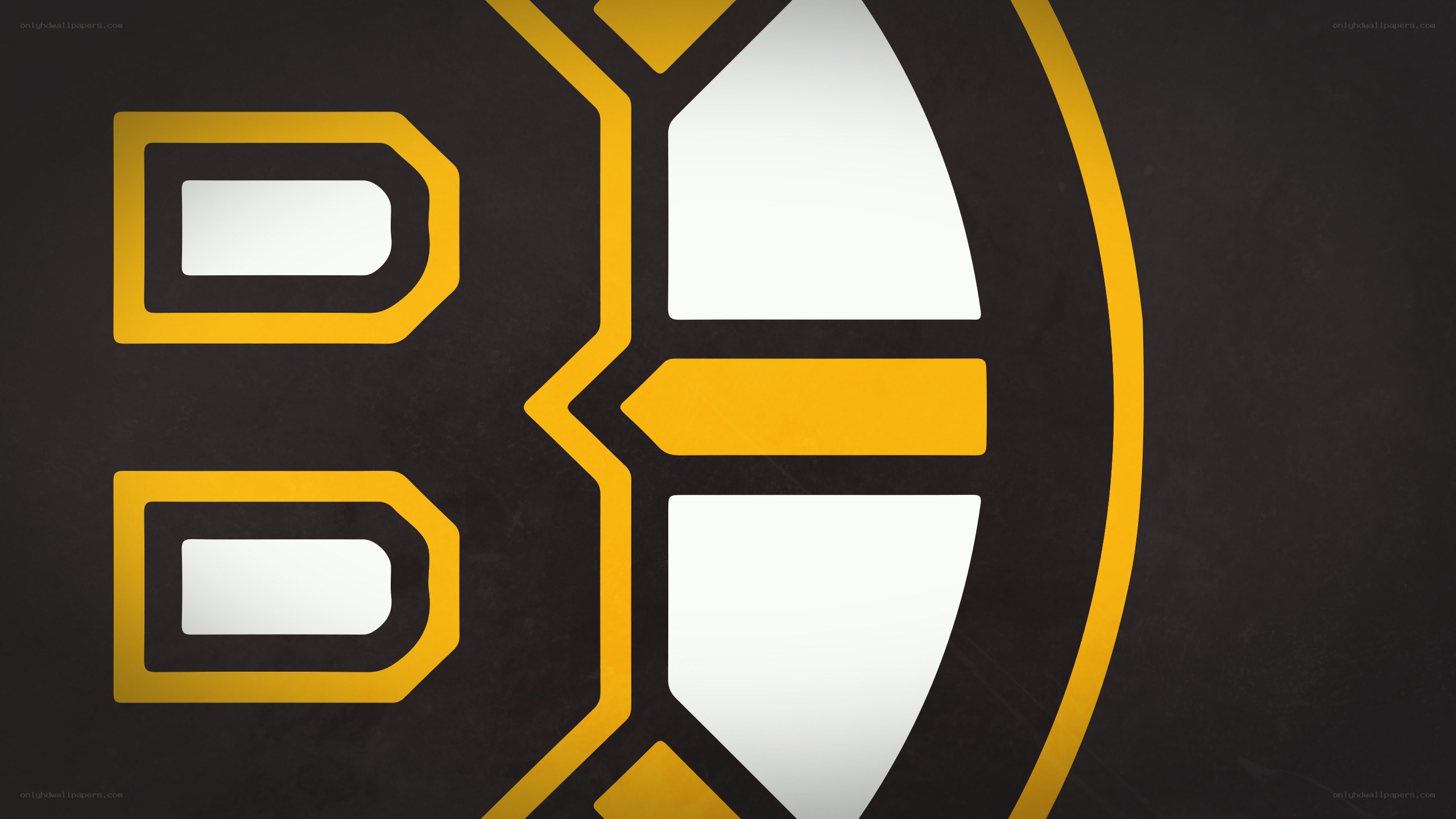 Boston Bruins logo