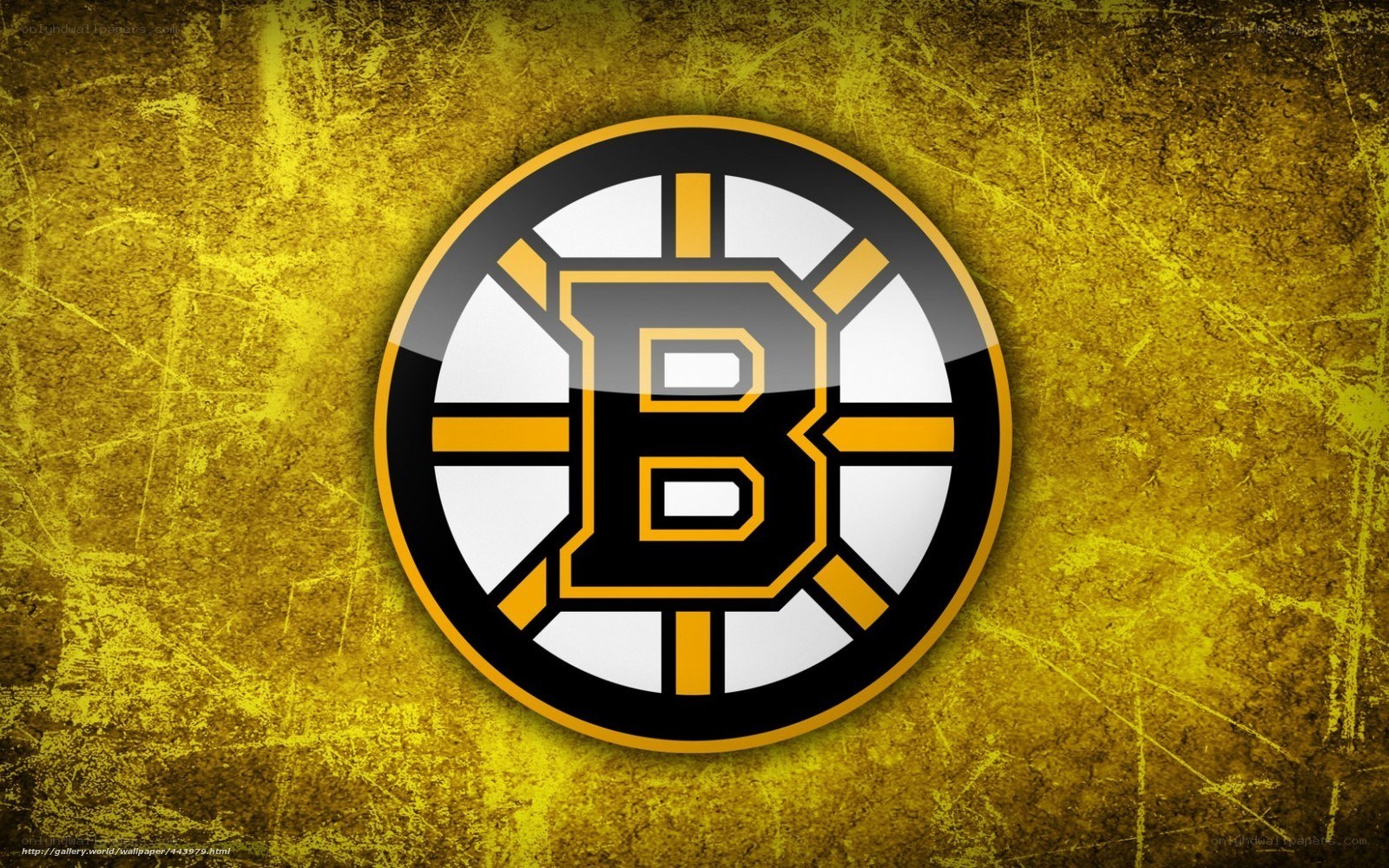 Boston Bruins logo on yellow background