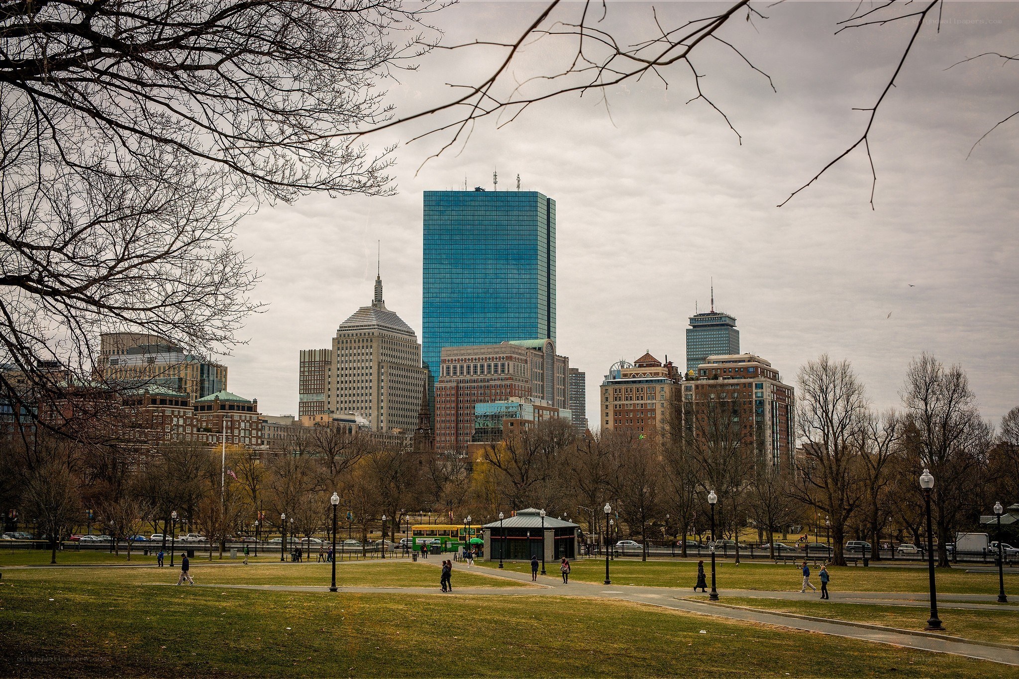 Boston skyline from a park