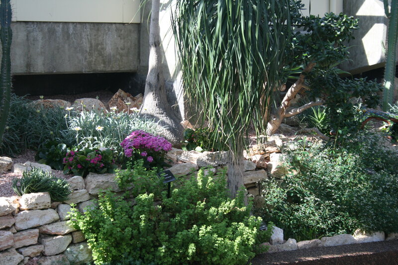 Botanical Garden Display