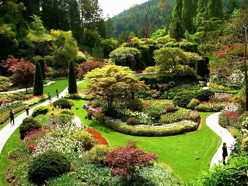 Botanical Garden Landscape — Green