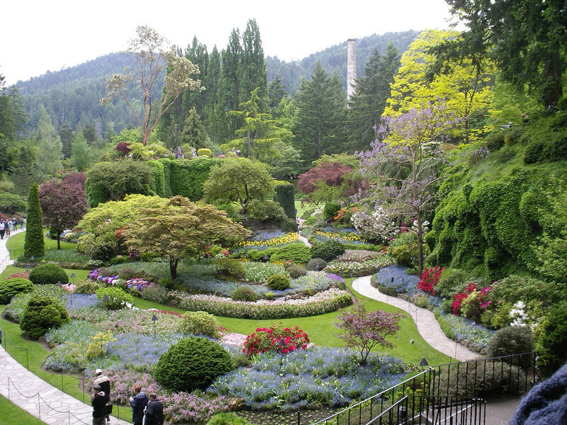 Botanical Garden Landscape