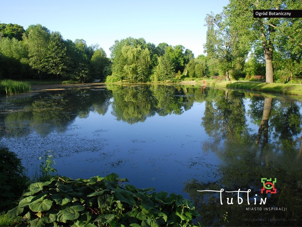 Botanical Garden pond