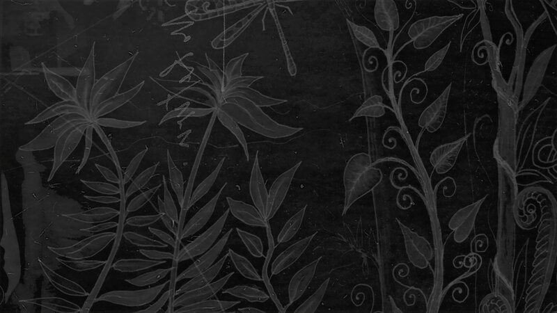 Botanical Illustration