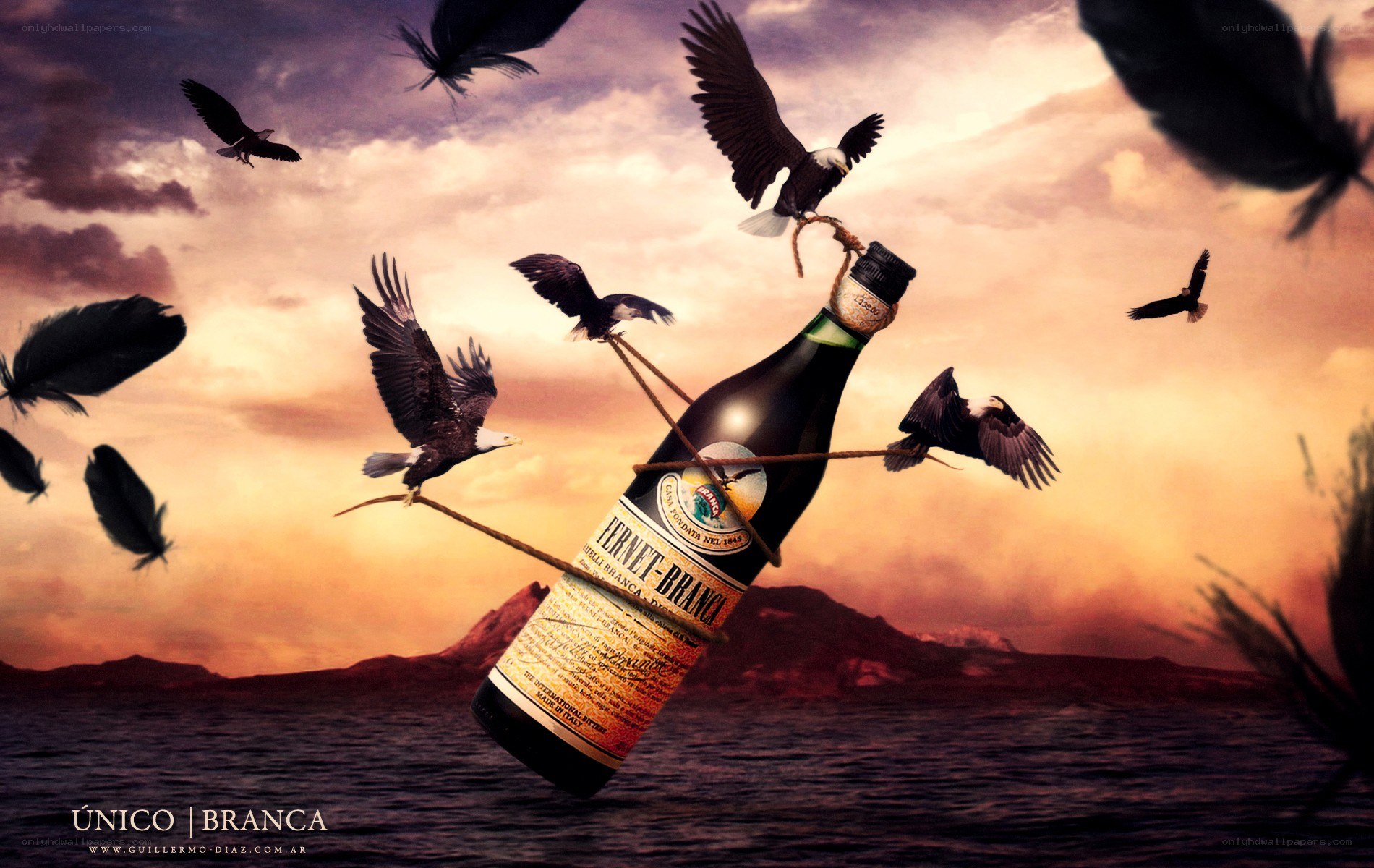 Bottle carried by eagles