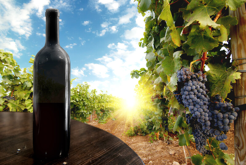 Bottle of Red Wine — Blue