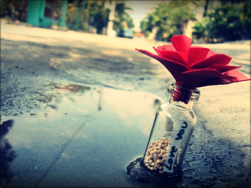 Bottle with Red Flower