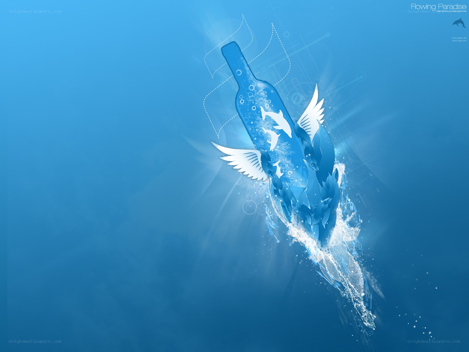 bottle with wings in water