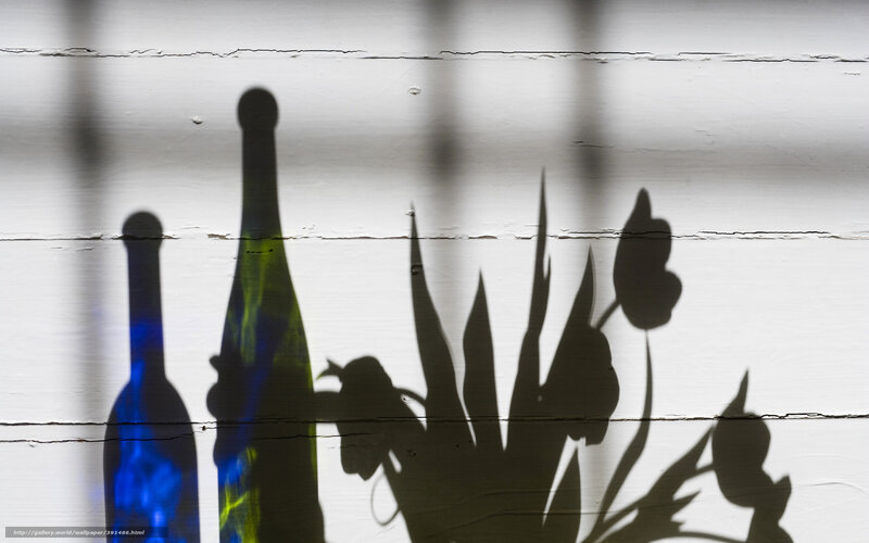 Bottles and flowers shadow