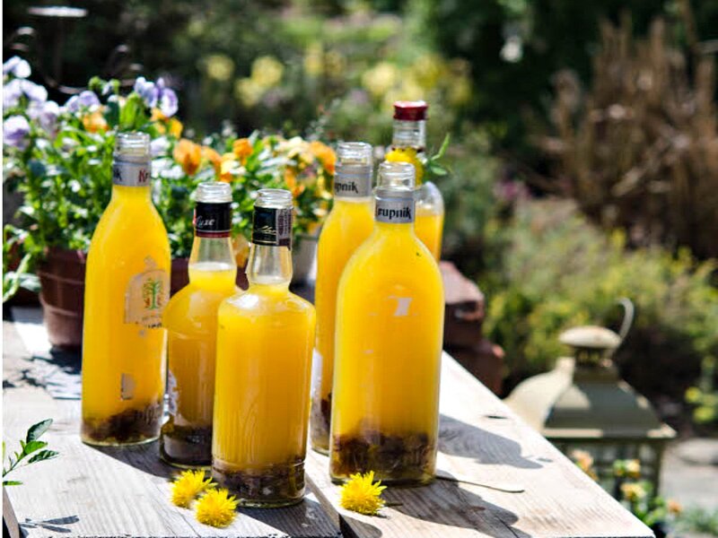 Bottles of Herbal Infusion