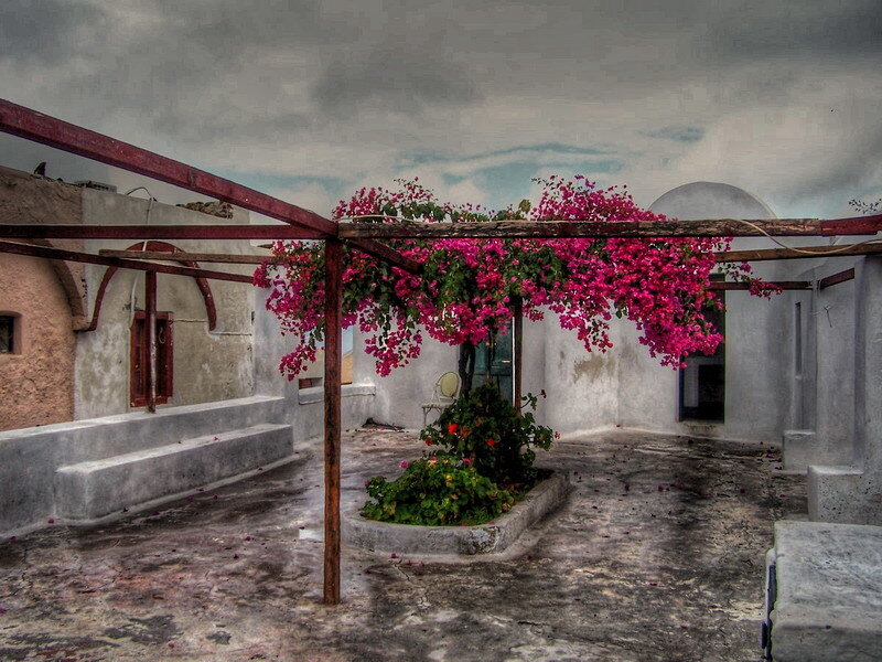 Bougainvillea-covered courtyard