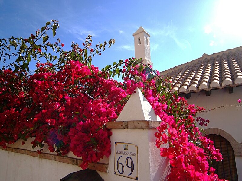 Bougainvillea-covered house in Spain