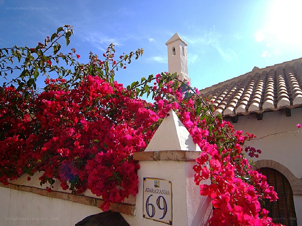 Bougainvillea-covered house in Spain